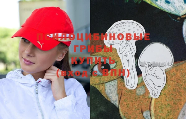 шишки Абинск
