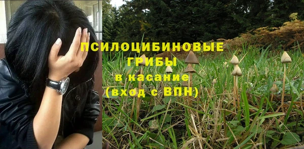 шишки Абинск