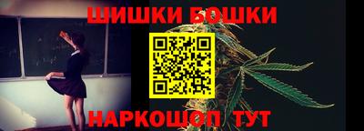 крисы Кулебаки