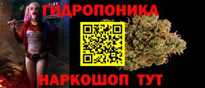 крисы Кулебаки