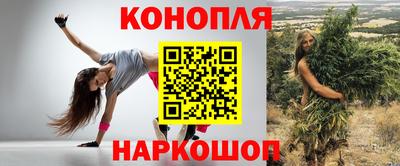 крисы Кулебаки