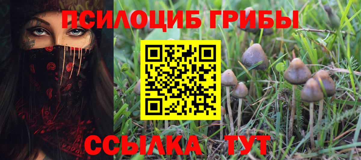 Избербаш  Псилоцибиновые грибы мухоморы  Вход с VPN 