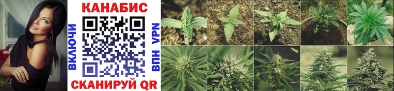 дарк нет как зайти  Избербаш  Марихуана Bruce Banner 
